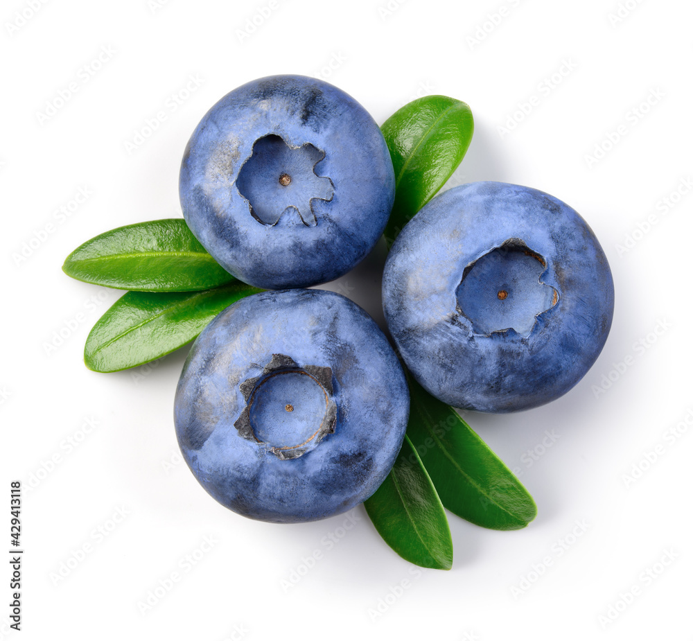 Blueberry isolated. Blueberry with leaves on white. Blueberry top view on white background. With clipping path. Blueberry isolated. Blueberry with leaves on white. Blueberry top view on white background. With clipping path.