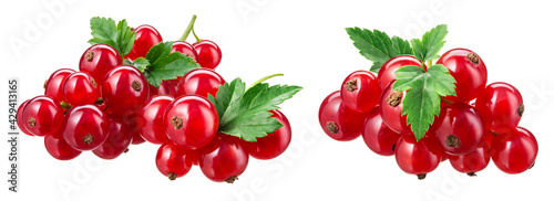 Red currant isolated. Currant red with leaves on white background. Currants on white. Red currant on branch. Clipping path. © MarcoFood