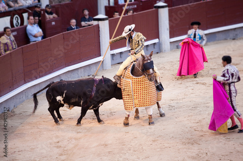 Picador en Plaza de toros en Madrid , España. Tercio de varas.