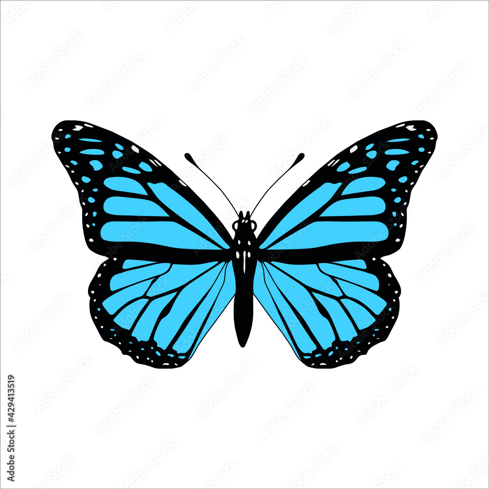 beautiful tropical butterfly with colorful wings