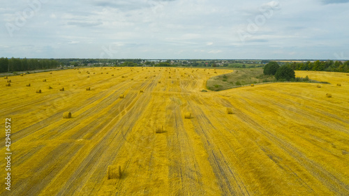 Top view of golden agricultural field with bales of hay. Bales of wheat after harvesting on the field. Agricultural field made of yellow round round big bales after harvest, straw rolls, straw bales © Alex Traveler