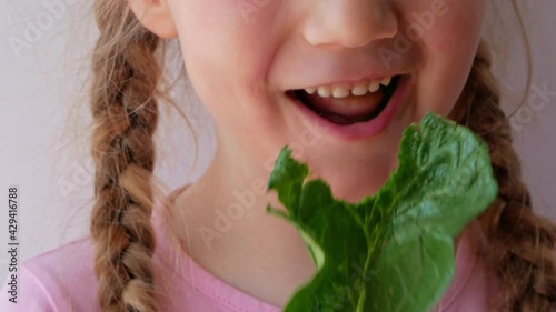 Little girl with fresh spinach in hand white background. Child eats natural raw clean food. Leaf vegetables vitamin Organic vegetarian meal superfood, nutritious smoothie salad vegan healthy lifestyle