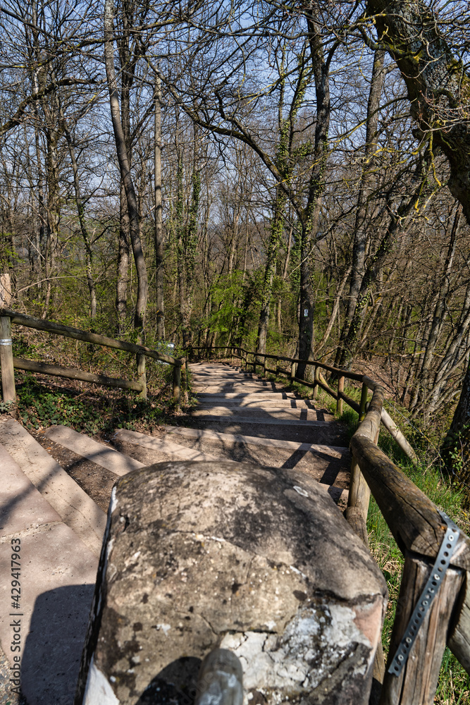Fototapeta premium Waldweg