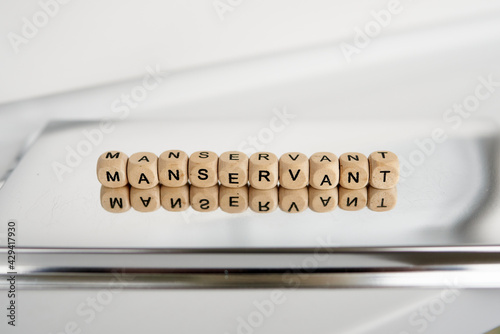 Word manservant made by wooden cubes with reflection