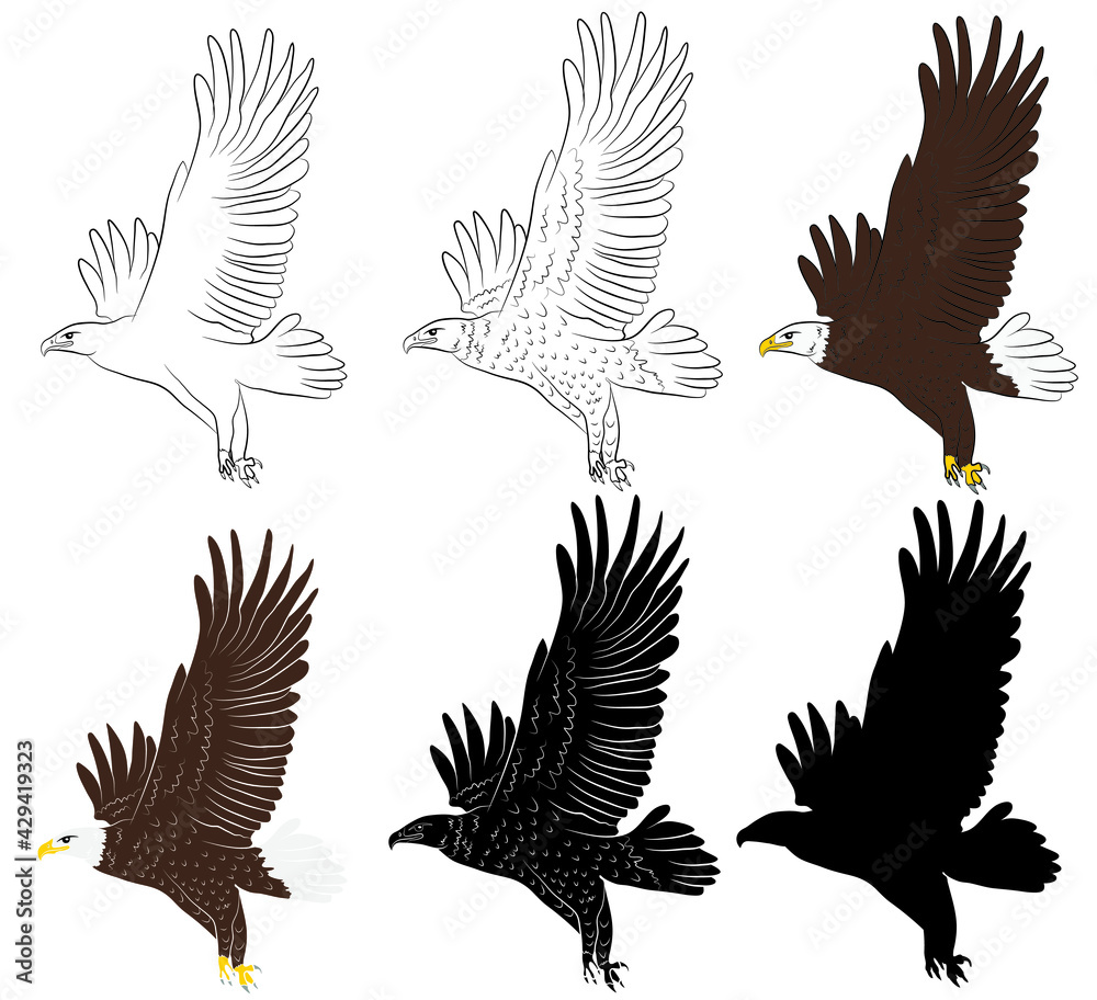 Obraz premium Set of Cartoon flying wild eagle in isolate on a white background. Vector illustration.