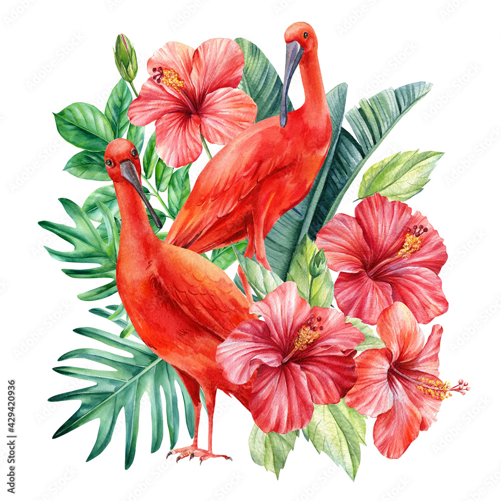 Tropical palm leaves, hibiscus flowers and ibis birds on an isolated background. Watercolor illustration, postcard Tropical palm leaves, hibiscus flowers and ibis birds on an isolated background. Watercolor illustration, postcard