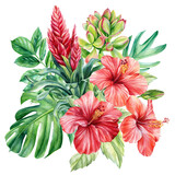 Bouquet of Hibiscus Flowers and Tropical Leaves on an Isolated Background. Watercolor illustration, postcard 