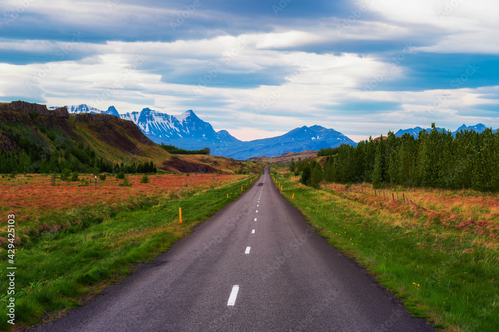 Road going through the scenic summer landscape of Iceland