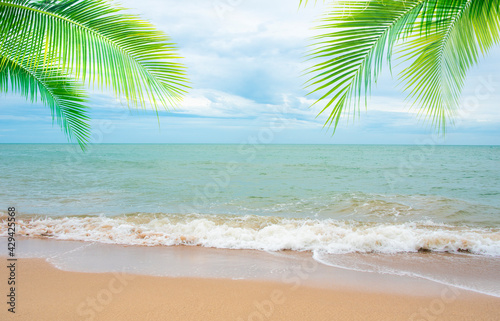 Fototapeta Naklejka Na Ścianę i Meble -  Coconut tree leaf on the tropical beach with space for text , summer,holiday, vacation weekend or relax ,summer mid year sale concept
