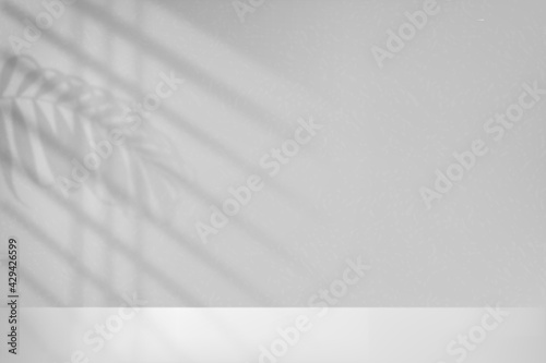 Lights from window on wall and floor. White mockup with shadow from blinds and leaf on in room. Mock up empty for design prints. Realistic shade reflected leaves. Overlay effect background. Vector