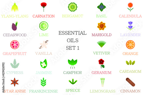 A set of essential oil plants. Images for massage, Ayurveda, cosmetics, spa, homeopathy. Collection of flowers and herbs. Part one.