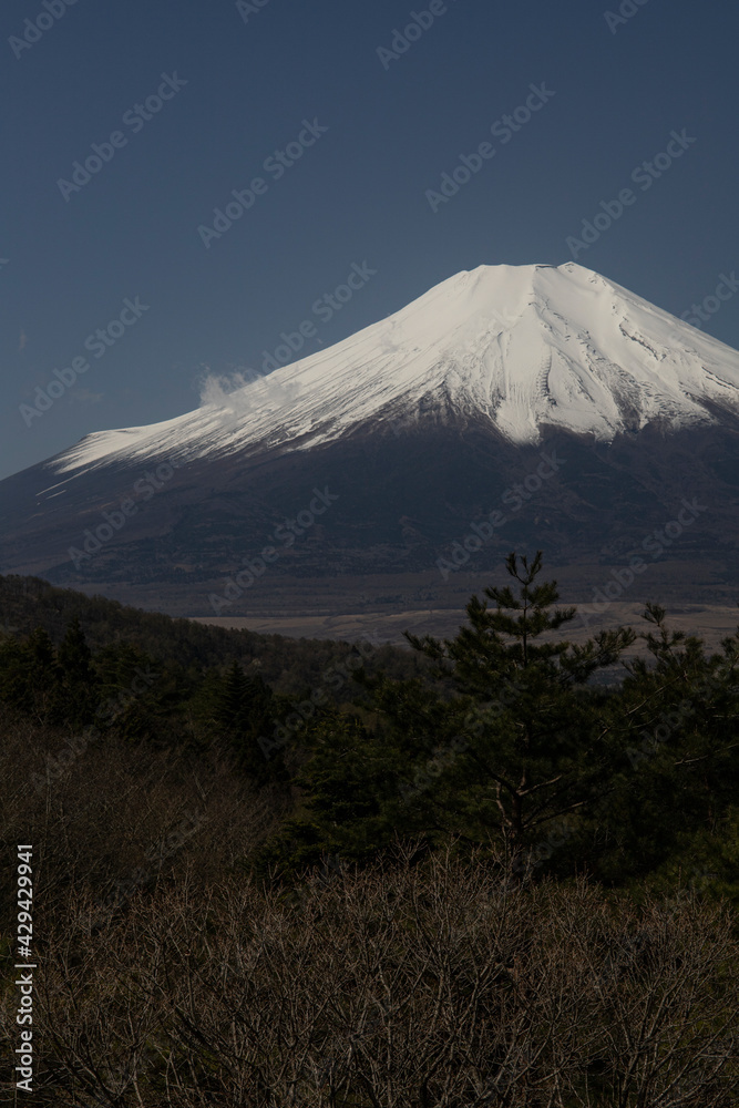 Fototapeta premium 忍野村から見た富士山