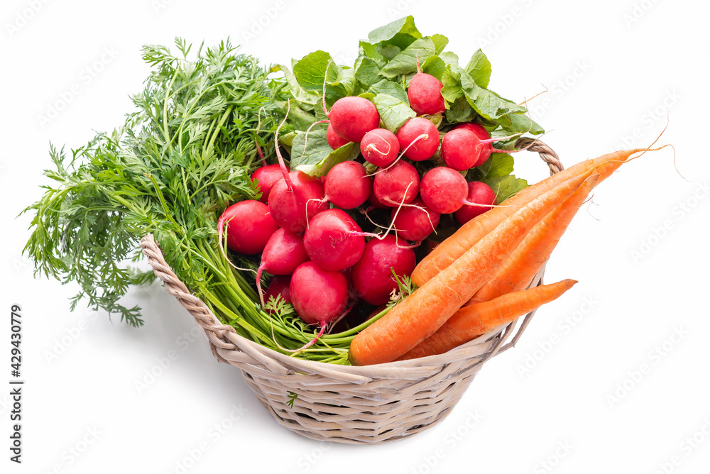 Basket with vegetables. Carrots and radishes with tops. Isolate