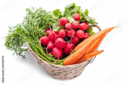 Fototapeta Naklejka Na Ścianę i Meble -  Basket with vegetables. Carrots and radishes with tops. Isolate