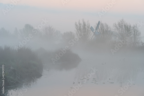 Foggy dawn in the Dutch countryside near a windmill.