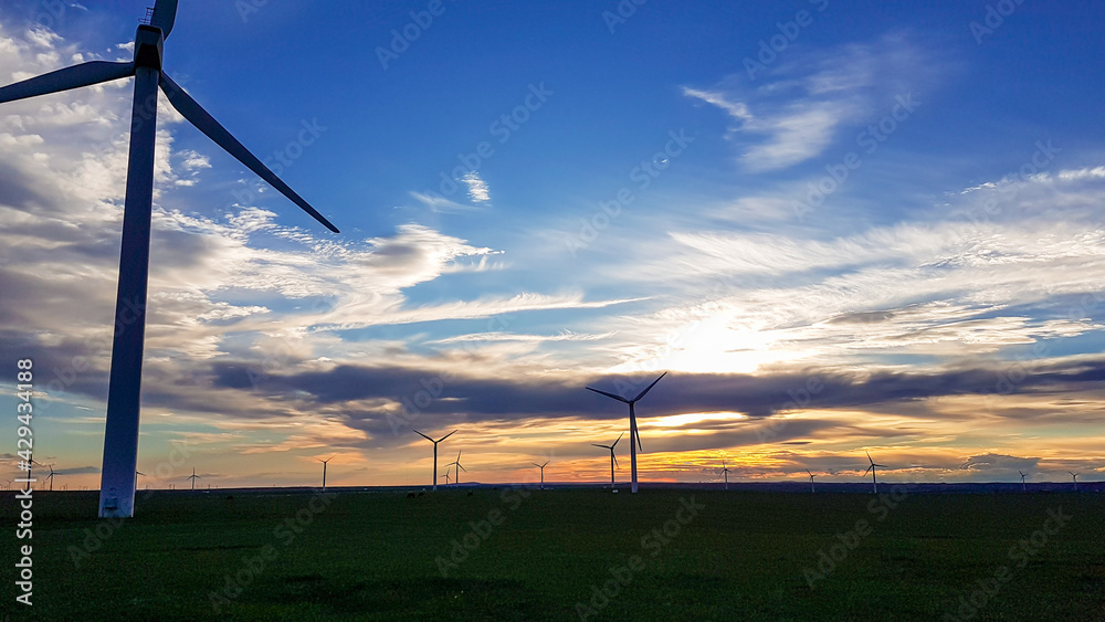 A field of wind turbines build on a vast pasture in Xilinhot in Inner Mongolia. Natural resources energy. Clean energy. Endless grassland. The sun is setting behind horizon. Golden hour. Serenity