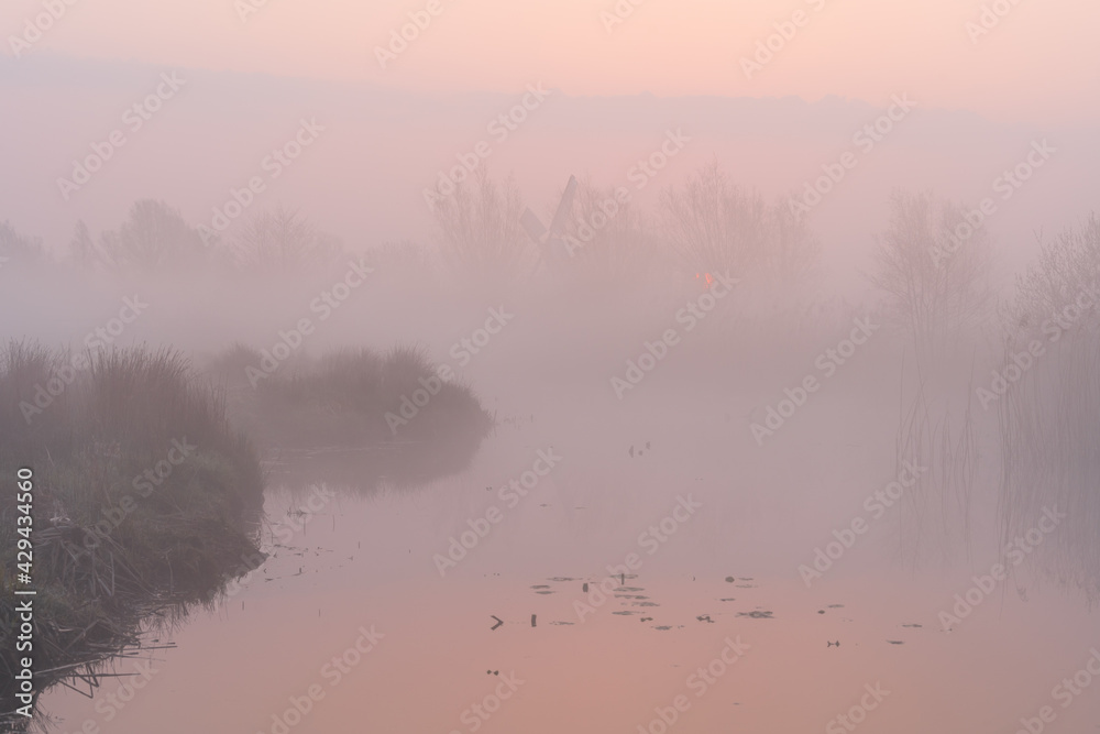 Fototapeta premium Foggy dawn in the Dutch countryside near a windmill.