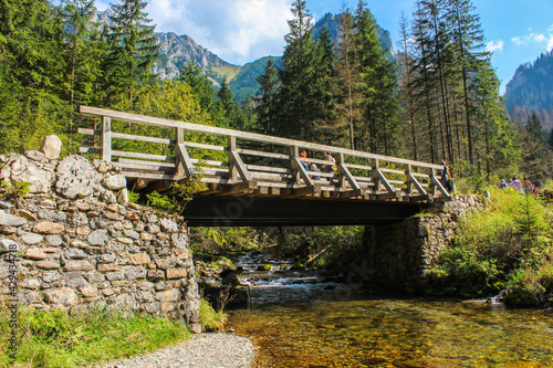 Old vintage bridge in the Tatra mountains national park river