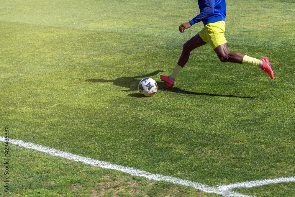 Fototapeta premium Soccer player striking the ball