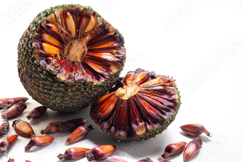 Close-up of an open pine cone on a white background. The pine cone is the true fruit of Araucaria and its seeds are pine nuts. Brazilian food. photo