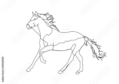 Pferd Illustration