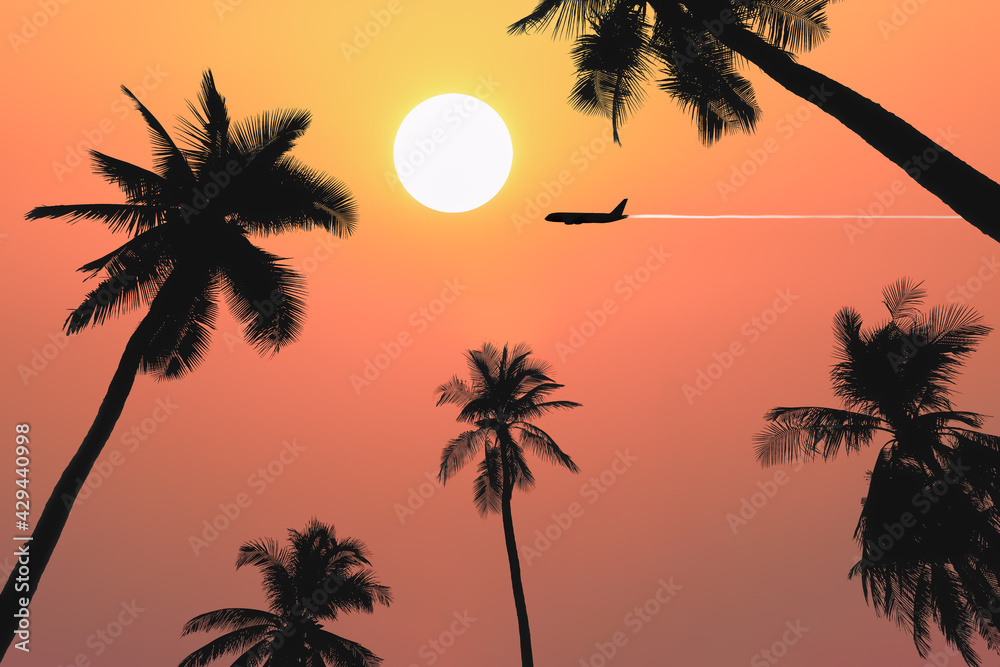Dramatic atmosphere panorama view of beautiful sunset on twilight sky with silhouette palm trees and aircraft fly over for travel and transportation business presentation and report background.