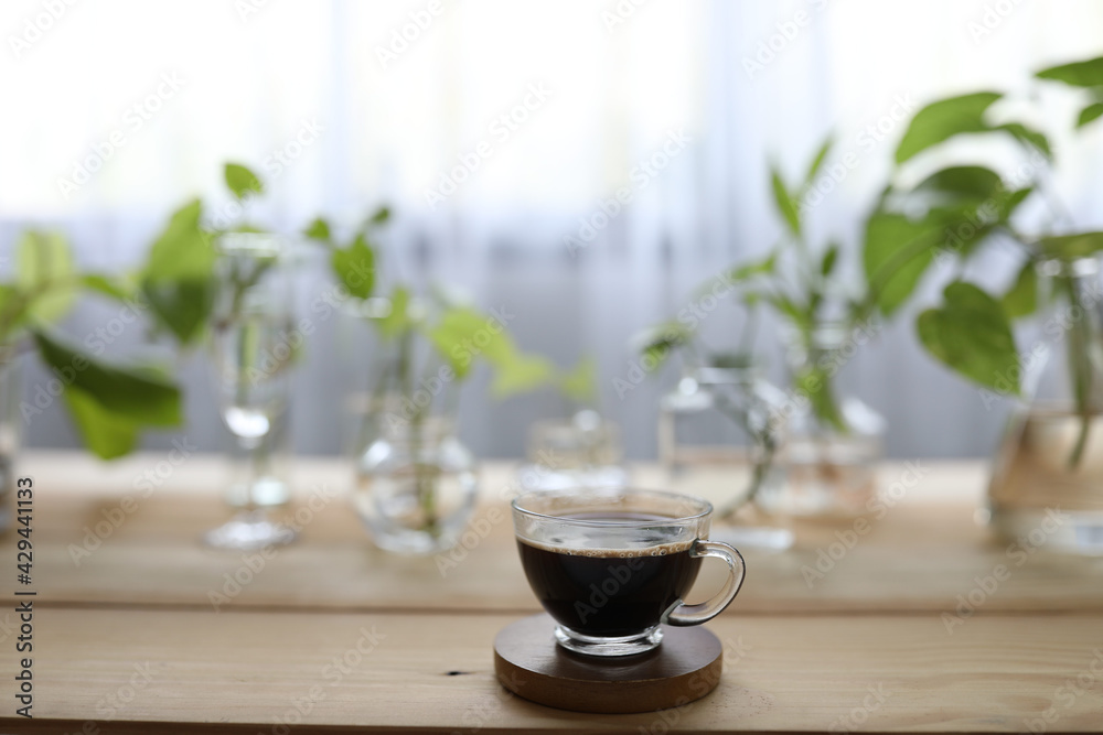 Coffee in glass and plants on glass vase and cup Coffee in glass and plants on glass vase and cup