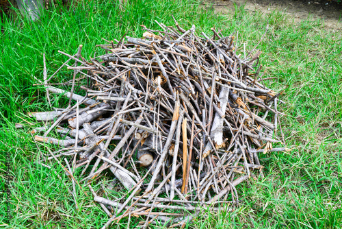 Stacks of firewood on green grass background. Pile of firewood.