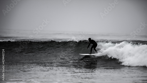 surfing the wave