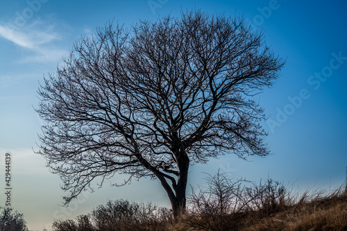 Am Strand von Kellenhusen photo