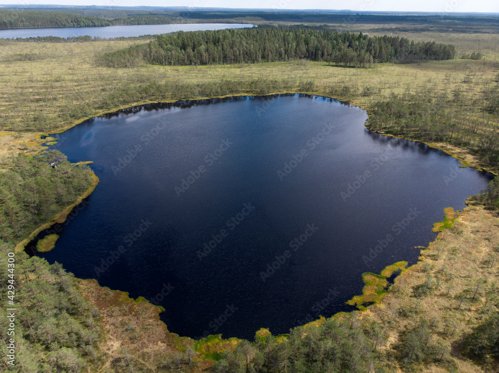 Round lake in the middle of a forest swamp, top view