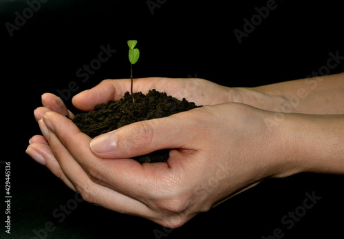 hand holding small tree for planting. concept green world and earth day. Black background