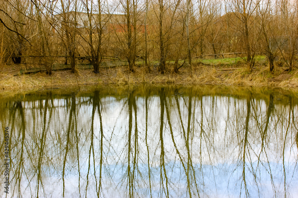 Obraz premium A scenic pond or lake in the forest. A row of bare trees, blue clouds with white clouds beautifully and blurred reflecting in the water. A picturesque landscape. Earth Day concept. High quality photo.