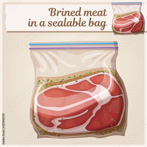 Brined meat in a sealable bag for barbecue icon. Cartoon vector illustration