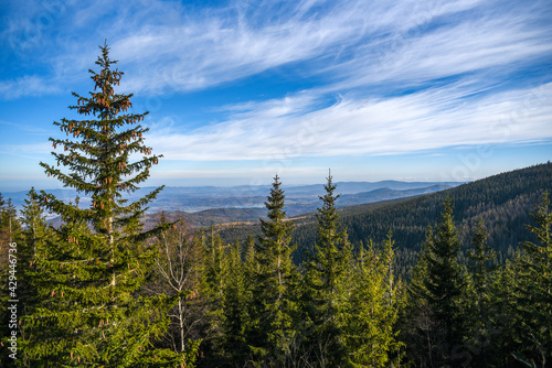 Mountain landscape with trees on mountain slopes. Selective focus.