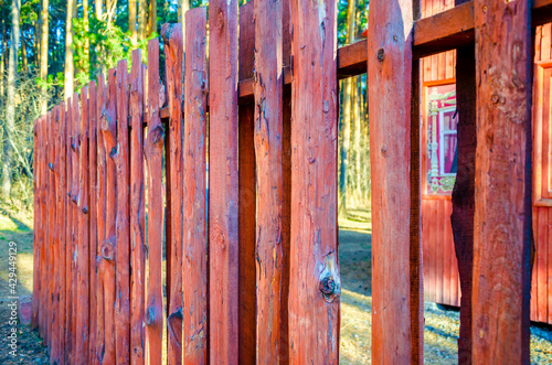 The fence is made of painted vertical untreated boards.