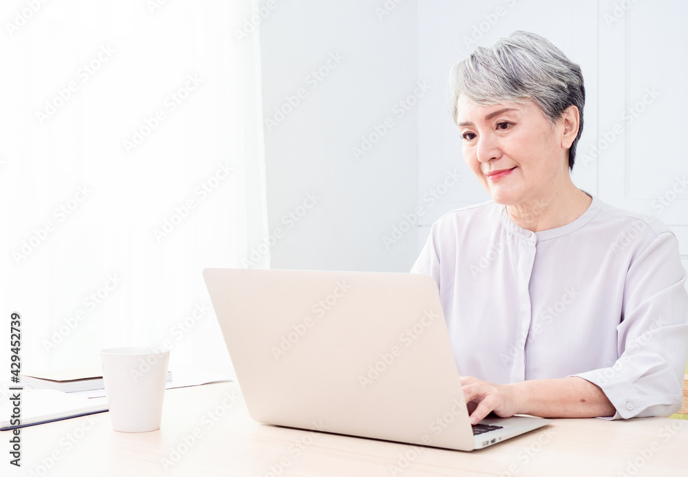 Senior asian woman using wireless laptop apps browsing internet. Senior asian woman using wireless laptop apps browsing internet.