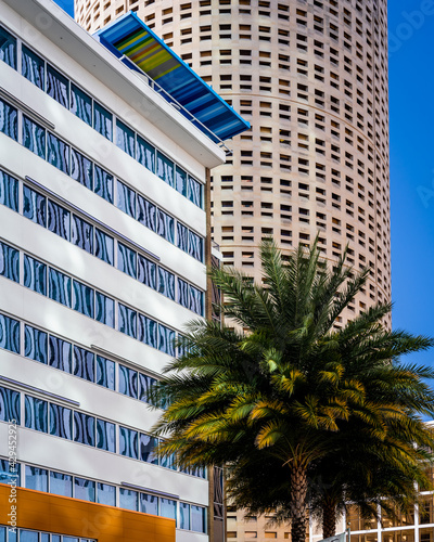 Wallpaper Mural Tampa Florida Torontodigital.ca