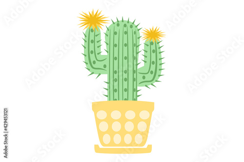 succulent or cactus plant with yellow flower in the pot