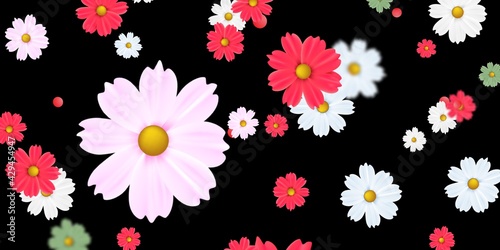 Fototapeta Naklejka Na Ścianę i Meble -  Sun Flower Stock Image Black Background