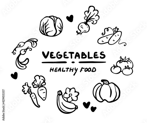 Outline set of vegetables for your design. Hand-drawn vector illustration. Logotyre, card, label, banner, stamp. Pumpkin, cabbage, carrot, cucumber, tomato, radish, beetroot, squash.