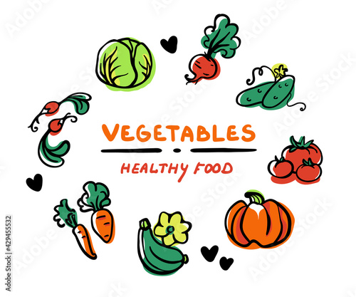 Colored set of vegetables for your design. Hand-drawn vector illustration. Logotyre, card, label, banner, stamp. Pumpkin, cabbage, carrot, cucumber, tomato, radish, beetroot, squash.