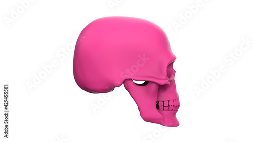 Skull in profile isolated on a white background. 3d render pink skull
