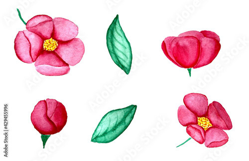 Set of watercolor pink flowers for wrapping paper, posters, backgrounds, textile, pattern