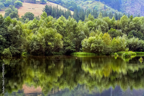 Green vegetation at the edge of the side with reflection in the water and idyllic landscape. Asturias Spain.