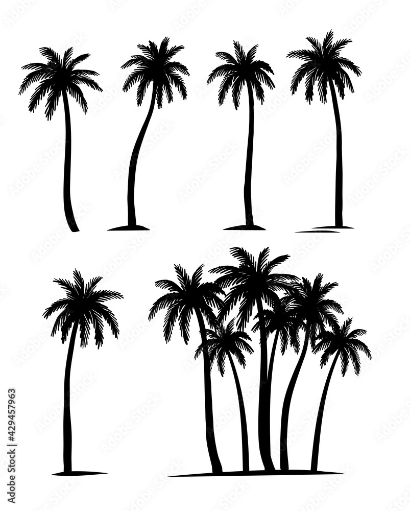 Palm trees silhouette. Coconut palm set. 