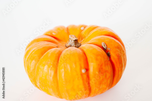 Isolated vivid pumpkin on white background