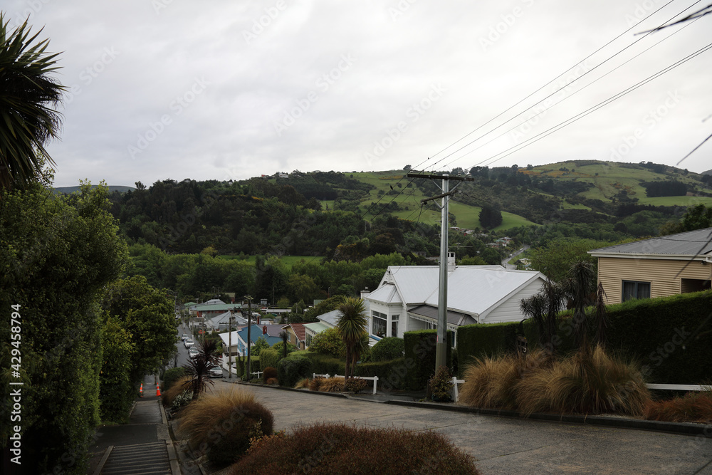 Fototapeta premium Dunedin - Baldwin Street - Steilste Straße der Welt / Dunedin - Baldwin Street - Steepest street in the world /