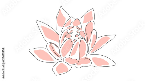 Lotus flower line art. Minimalist contour drawing. Isolated on white background