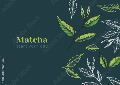 Vector illustration of matcha or green tea advertising horizontal banner on dark green. Flyer or publication about a tea ceremony or product